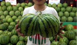瓜田今日吃瓜人人吃瓜,全民吃瓜，娱乐至上